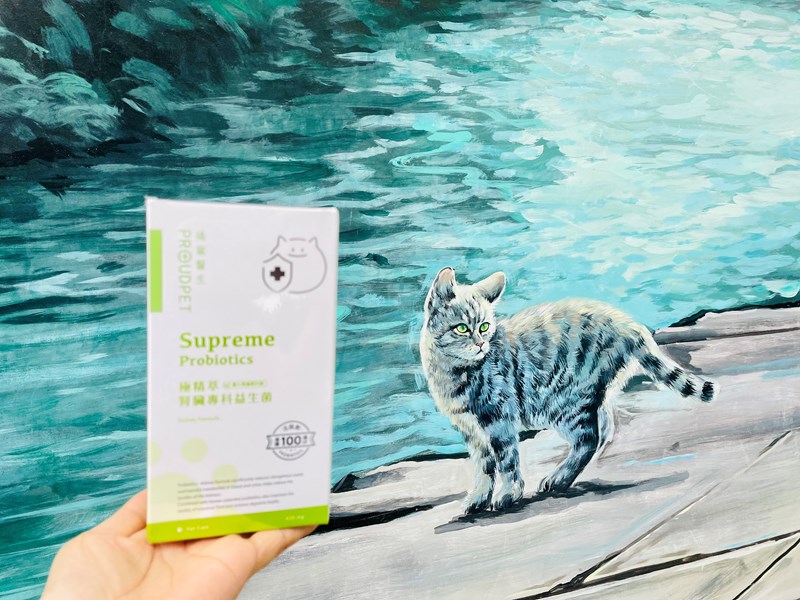 試用
